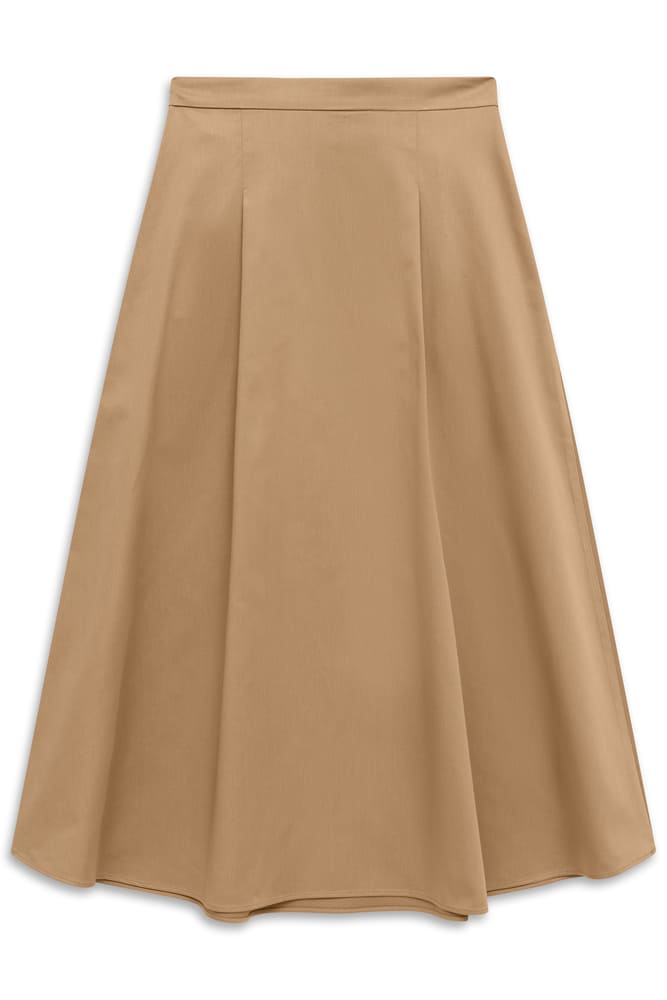 bug_W1419_12420_70_model-f_2313