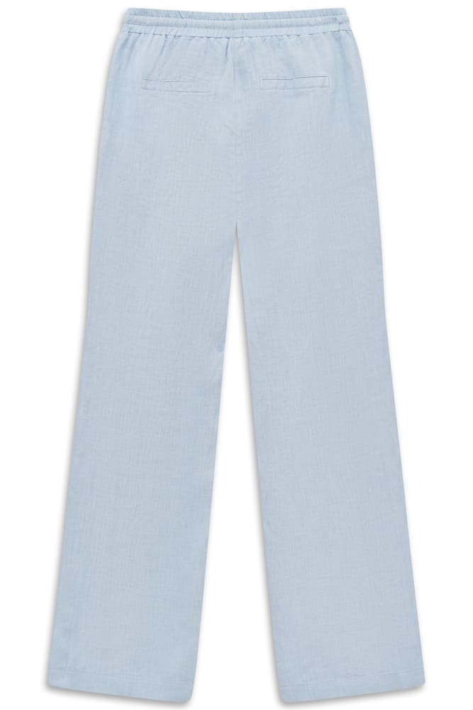 bug_W2337_13034_340_f_01