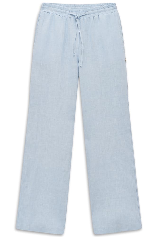 bug_W2337_13034_340_f_01