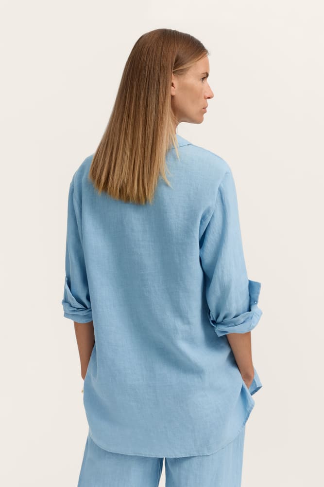 bug_W3749_13034_340_model-f_0547