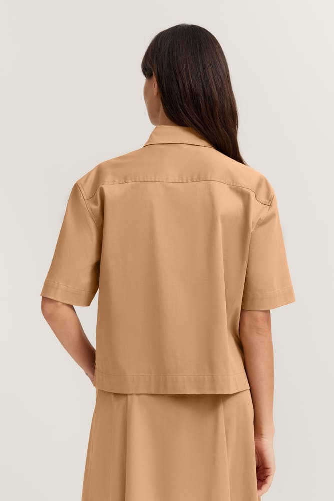 bug_W6092_12420_70_model-f_2206