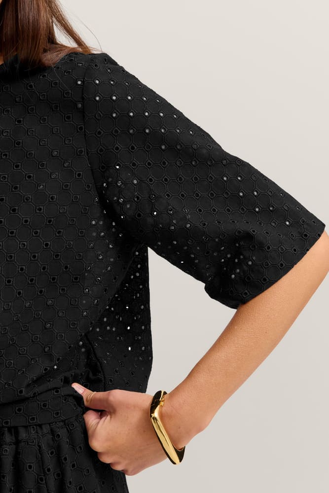 bug_W6094_14813_290_model-f_2377