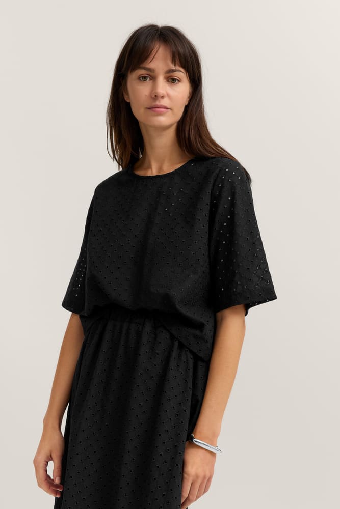 bug_W6094_14813_290_model-f_2377