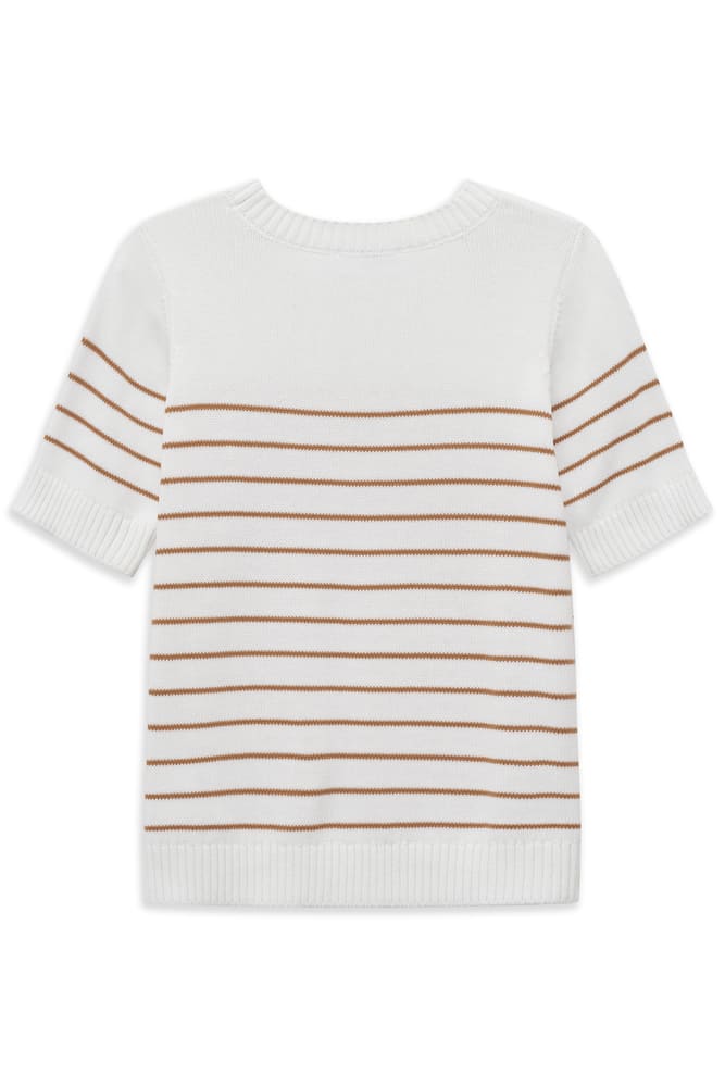 bug_W9155_15586_640_f